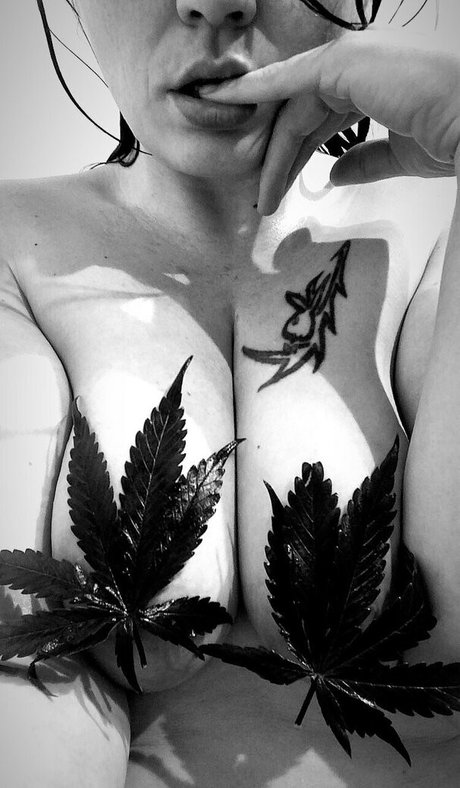 nikkihippy erotic model archive