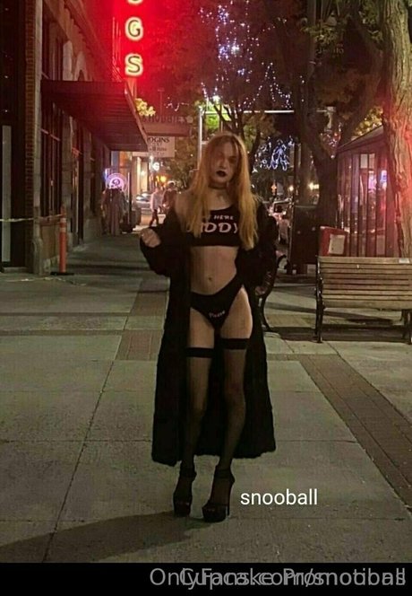 cupcakepromotions best star pictures