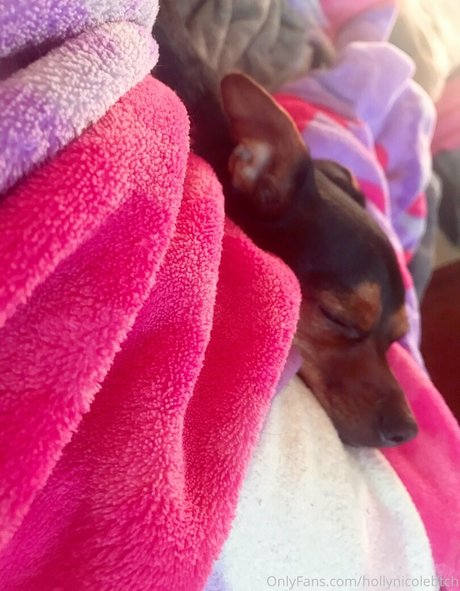 hollynicolebtch nice model pics