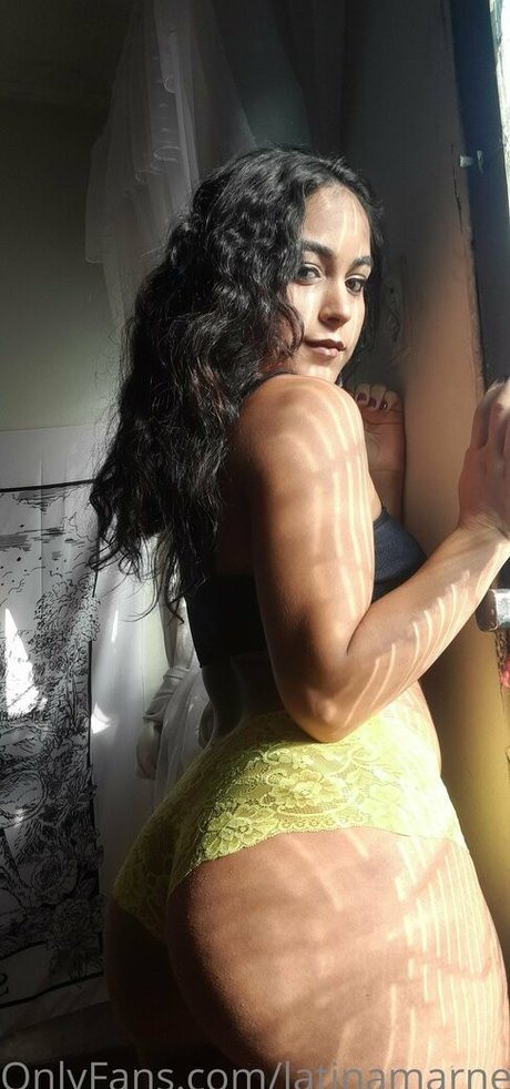 latinamarne star nice galleries