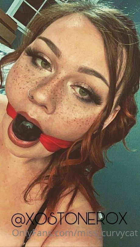 miss curvycat best star image