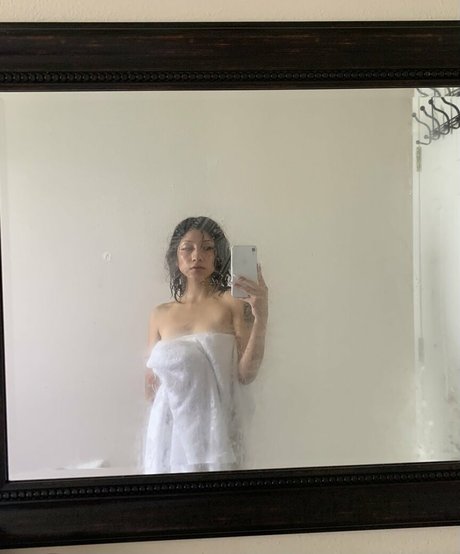 Stardustsvm top model img