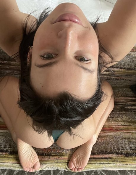 magnoliahoneypot star high quality photos