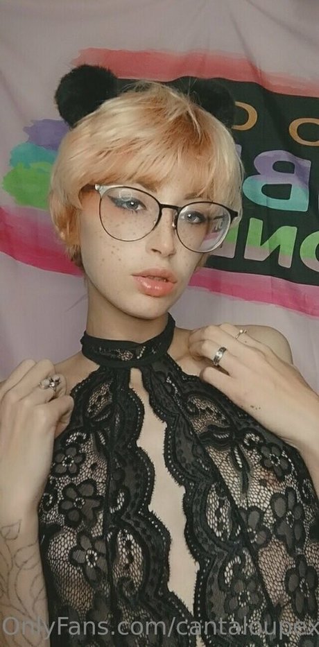 cantaloupexo hd star images