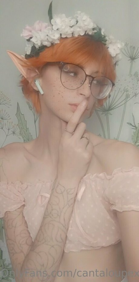 cantaloupexo top pornstar pic