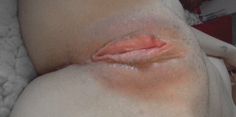 svenjaarl9 top pornstar img