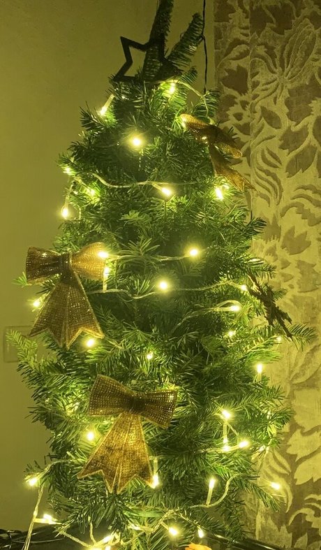 lilbiii pornstar free images