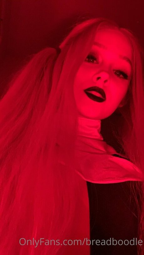 Breadboodle model free gallery