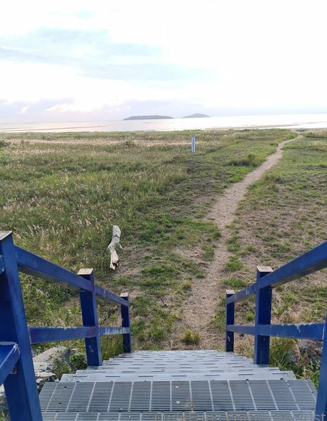 toniclust star hd pic