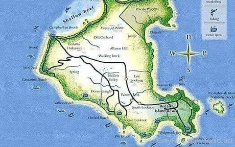 toniclust star art pictures