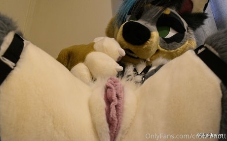 crownmutt exclusive model pictures