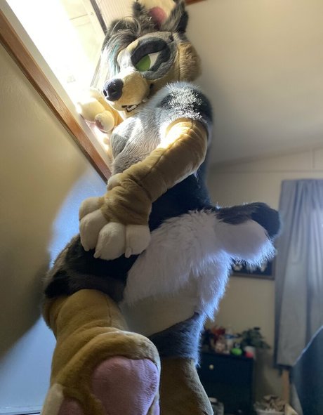 crownmutt pornstar free archive