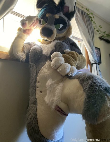 crownmutt art star pic