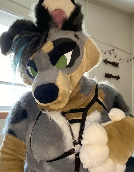 crownmutt model xxx pic