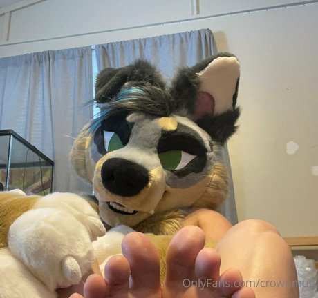 crownmutt star free galleries