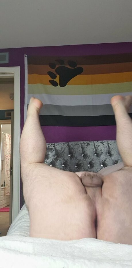 powerboar beautiful actress photos