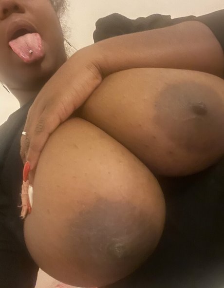 asia falchi pornstar adult gallery