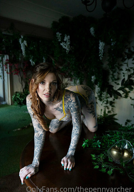 thepennyarcher perfect model archive