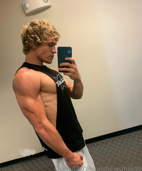 sunshynefree beautiful star gallery