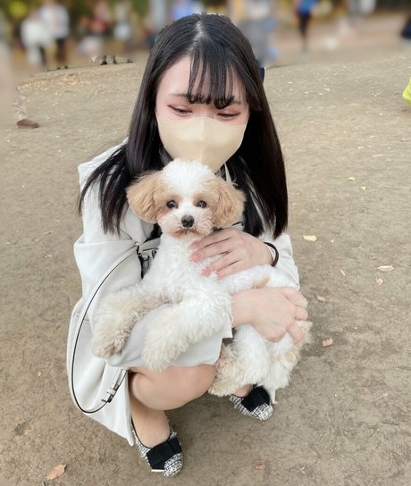 Hikaru Miyanishi art model galleries