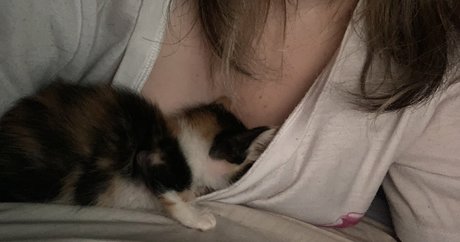 Gomi Kukara beautiful star galleries