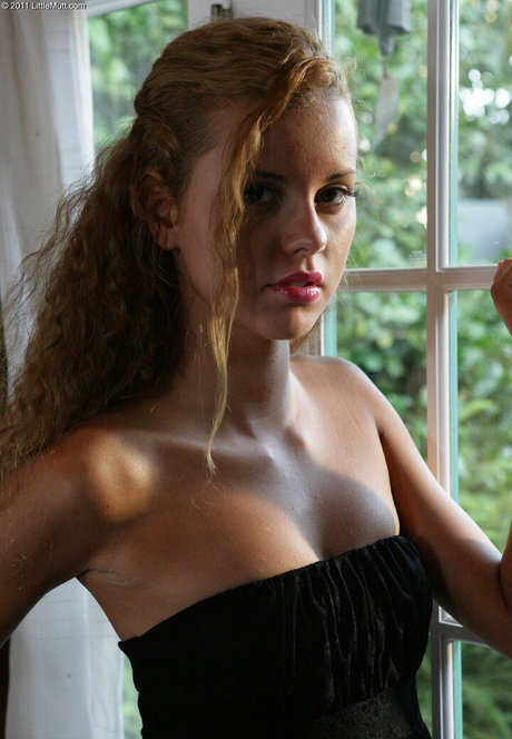 littlemutt star free picture