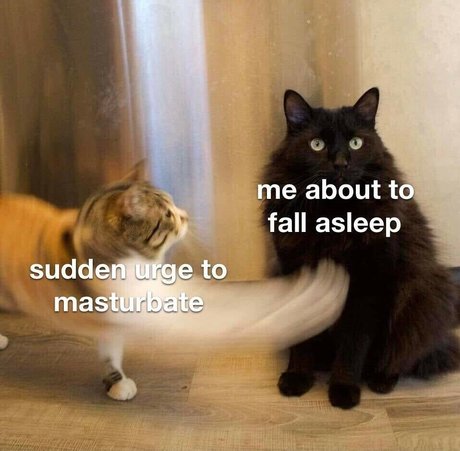 Marlii26 nudes model galleries