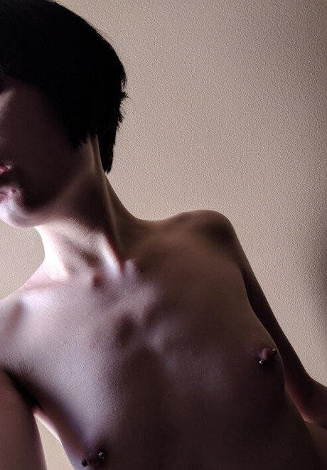 Evielupine star art galleries