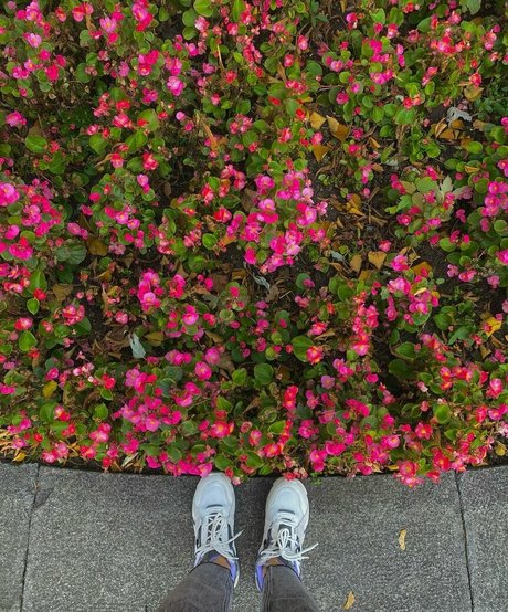 cute ladyboy onlyfans free nude pics