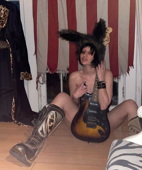 amargo deleite star high quality picture