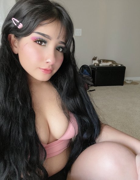 rizzywashere art star archive