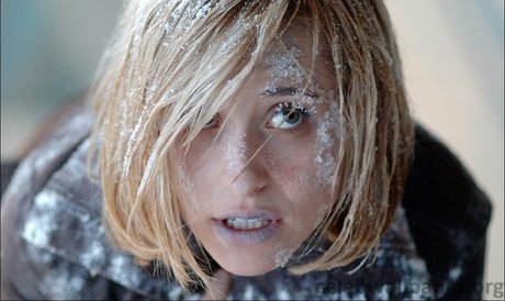 Allison Mack pornstar free img