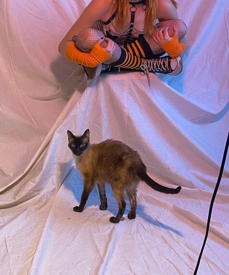 Locallbimbo erotic model photos