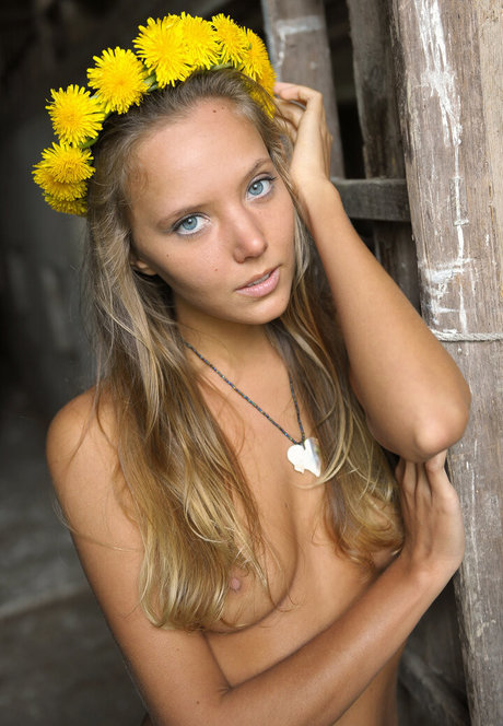 artofdanworld star hot galleries