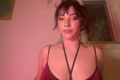 Blair switch free model picture