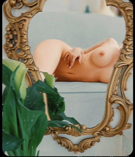 The Original Taquito hd star image