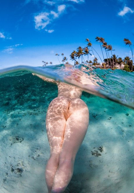 Pure Rebel Model free model images