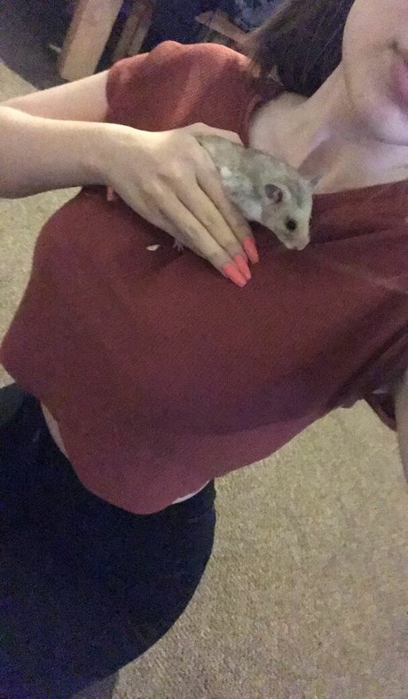 Chloe Carter pornstar top img