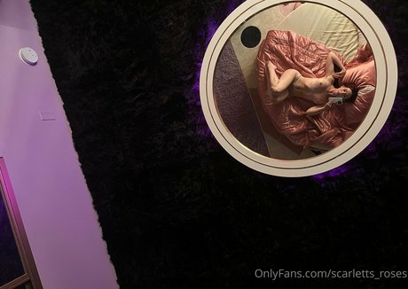 haleysvision pornstar top galleries