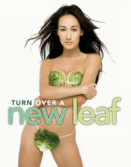 Maggie Q star nice galleries