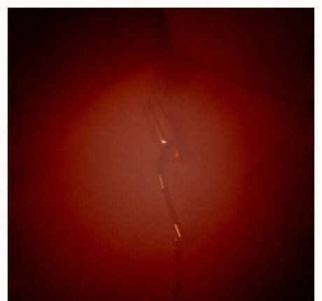 petite twink onlyfans pornos pic