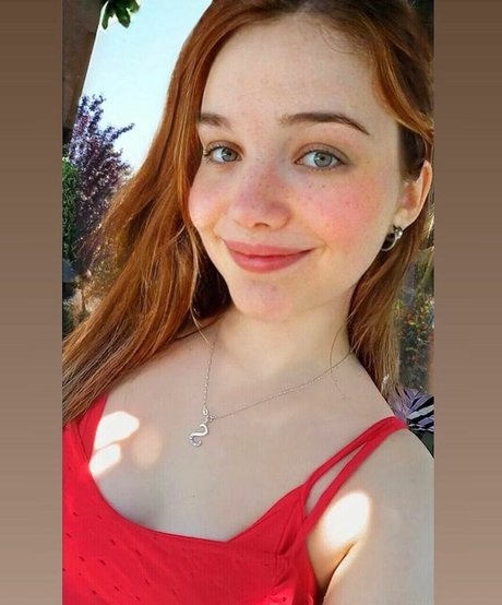 SSandia model top images