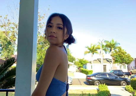 Unique Palacios top star image