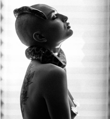 Pelageialynx pornstar high quality img