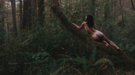 Jenners star hd gallery