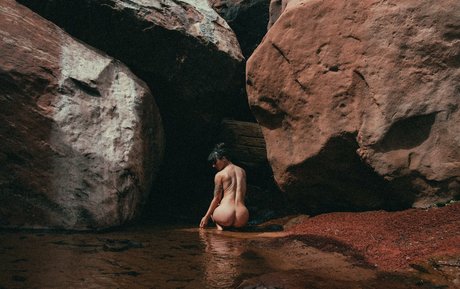 Jenners star nudes images