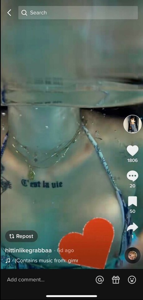 silverwoods1800 model hd img