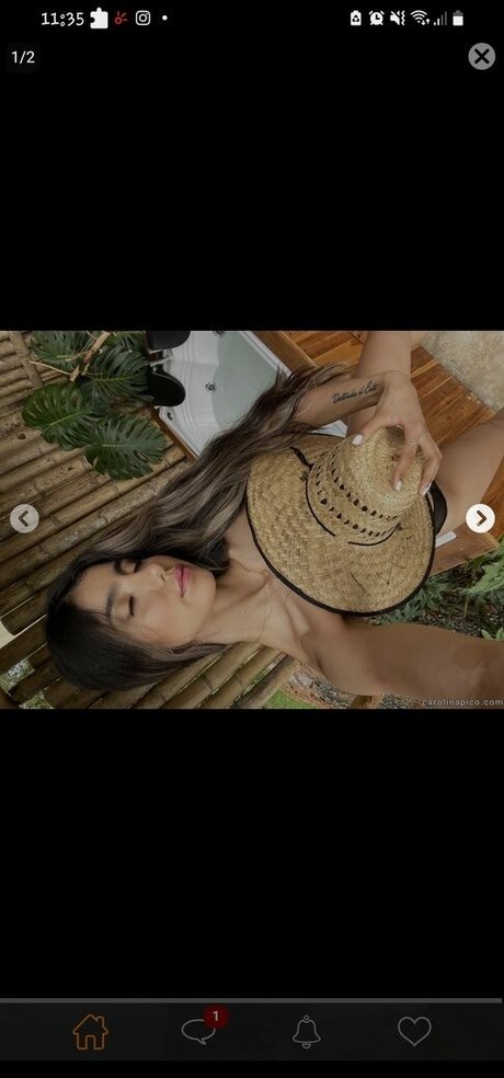 Carolina Pico Rios art pornstar image