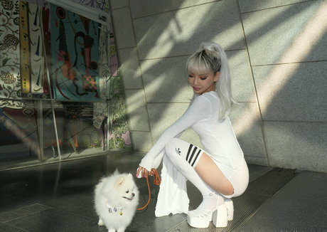 dollaryaoo porn actress picture