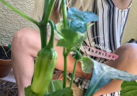 aubriluv pornstar high quality pics